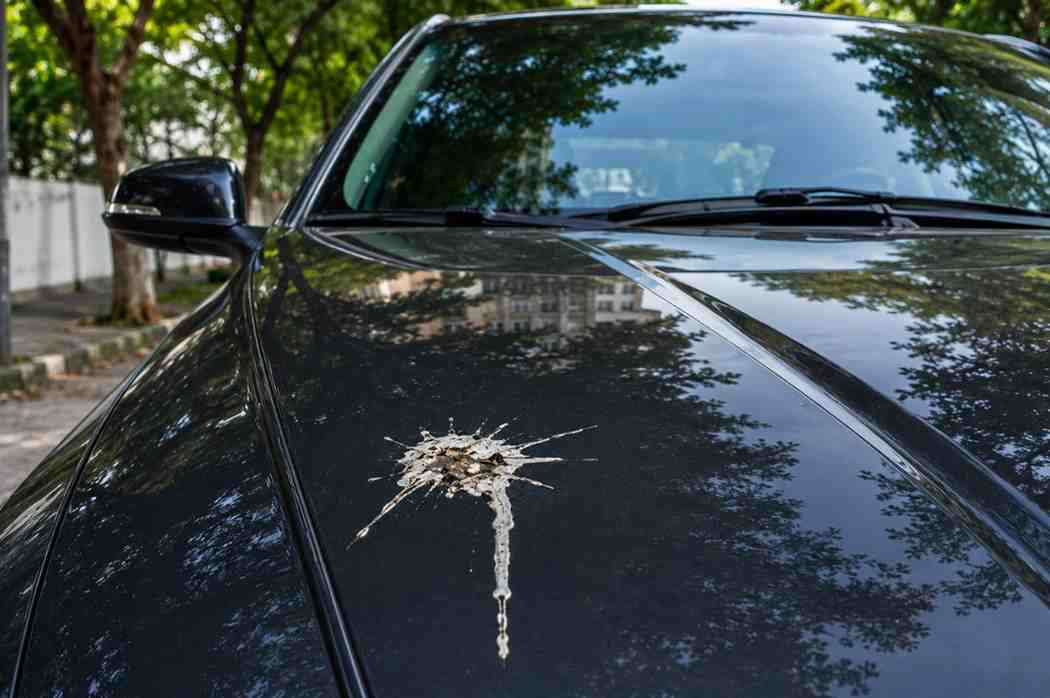 Can Bird Droppings Permanently Damage Car Paint?